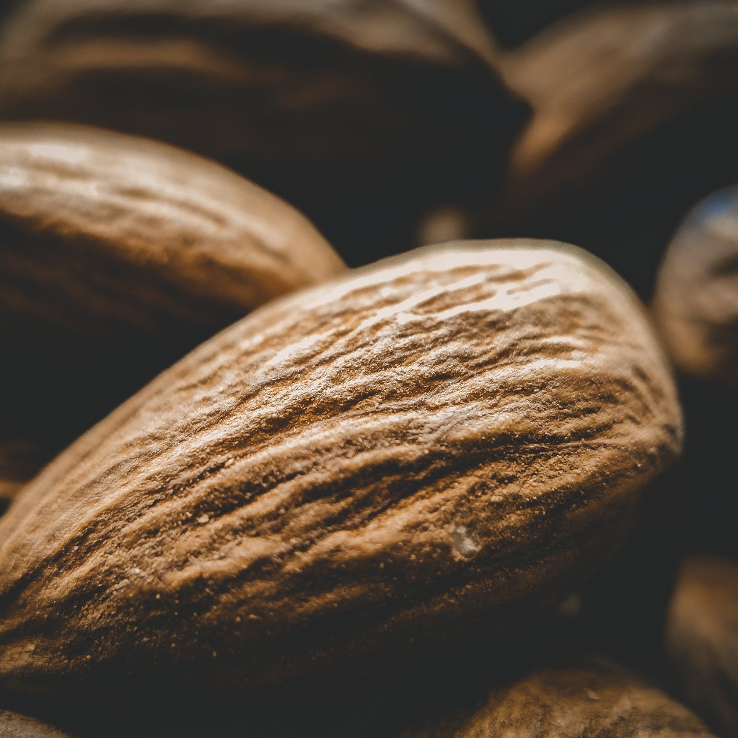 Mylkshake Nut Mylk
