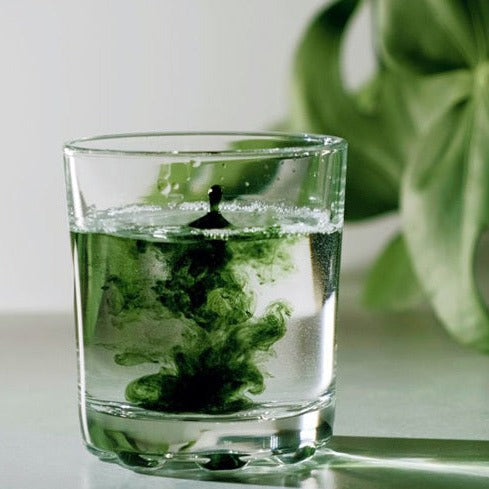 Chlorophyll Water